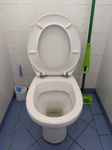 Newly installed toilet with no more leaks